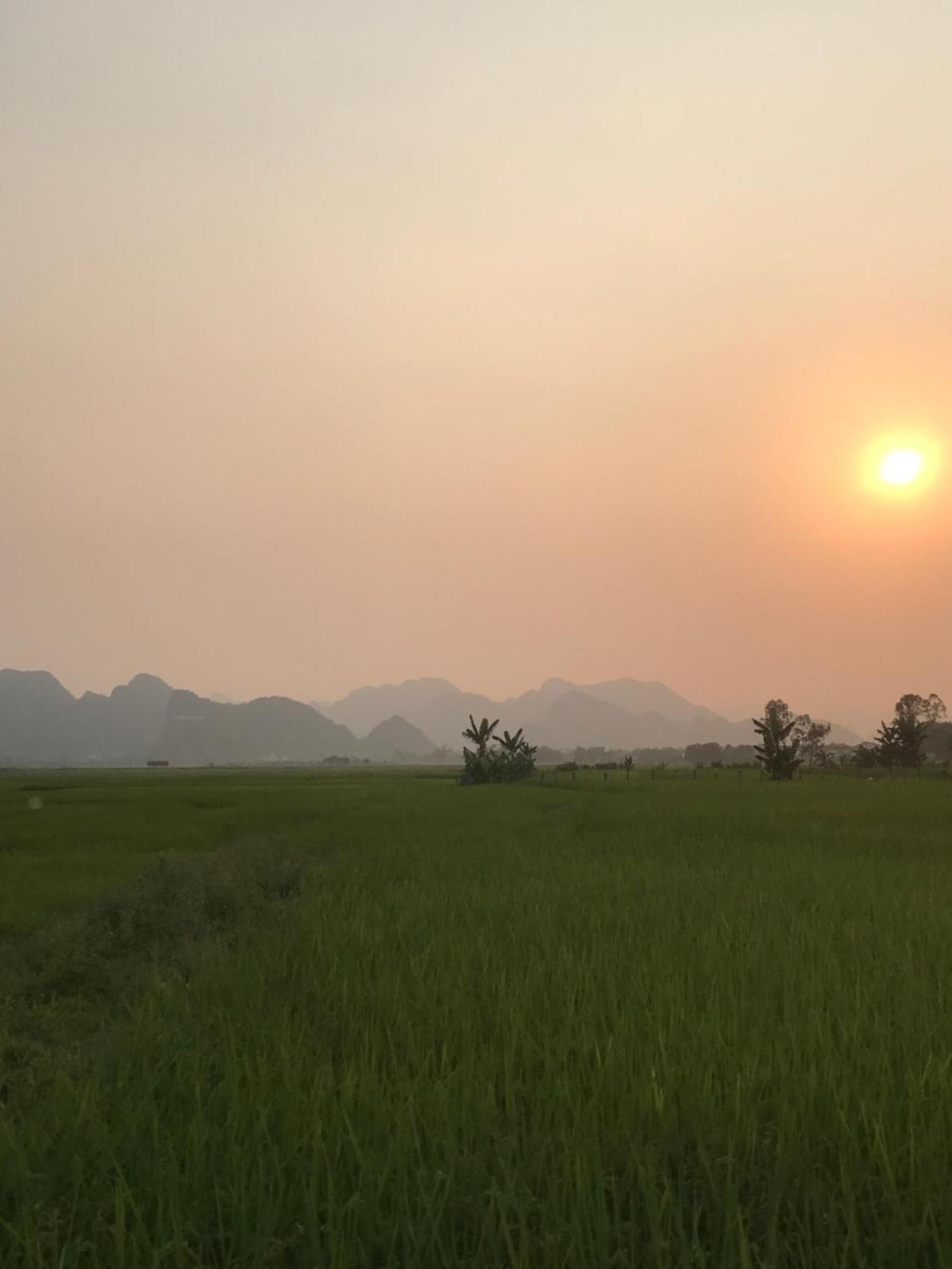 Happy Field Homestay Phong Nha Esterno foto